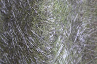 Lower North Dean fibreglass roof work